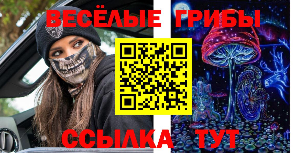 Псилоцибиновые грибы GOLDEN TEACHER Кунгур